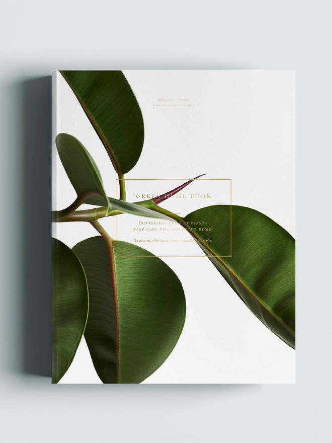 Cozy Publishing Green Home Book
