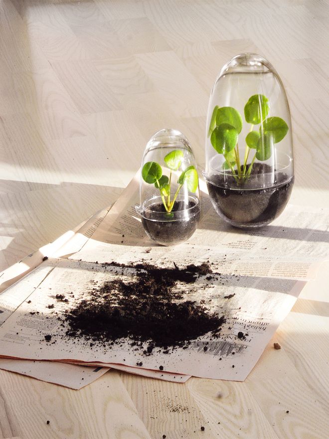 Design House Stockholm Grow mini greenhouse, M