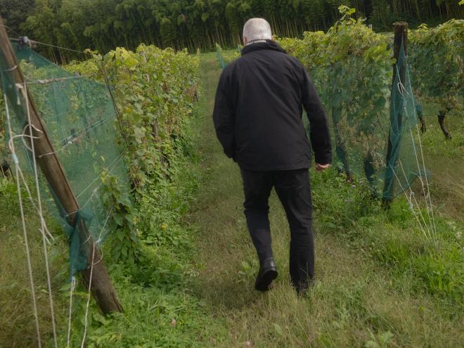 Alberto Alessi walking in his wineyard