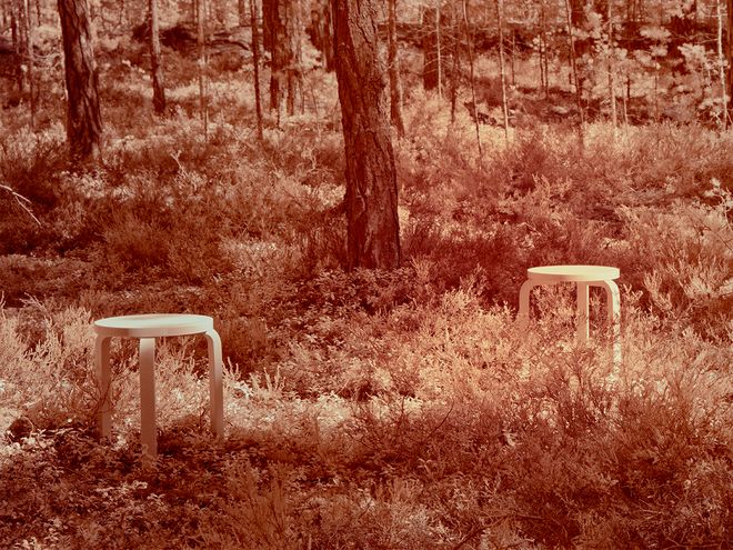 Image from Formafantasma’s video Metsä, 2022