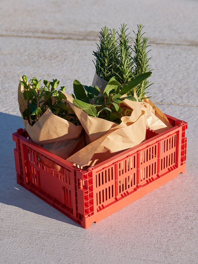 HAY Colour Crate, M, recycled plastic, red