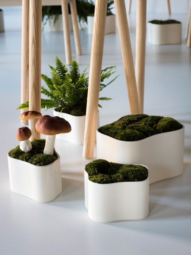 Artek Riihitie plant pots