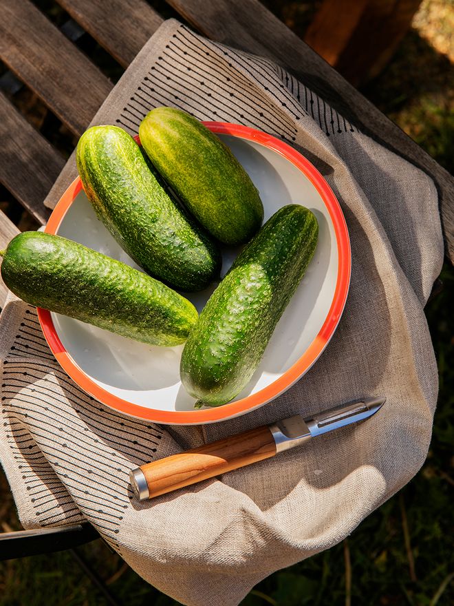 Norden peeler by Fiskars 