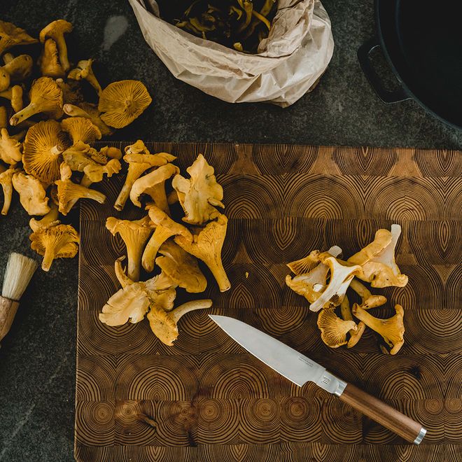 Fiskars Norden cook's knife