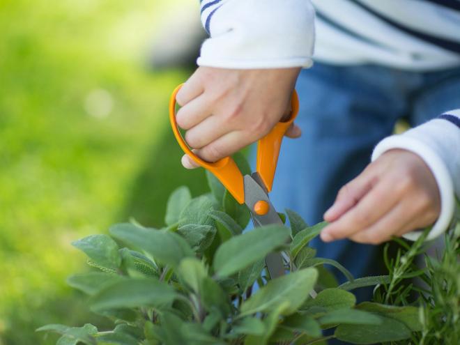 Fiskars Classic -yleissakset