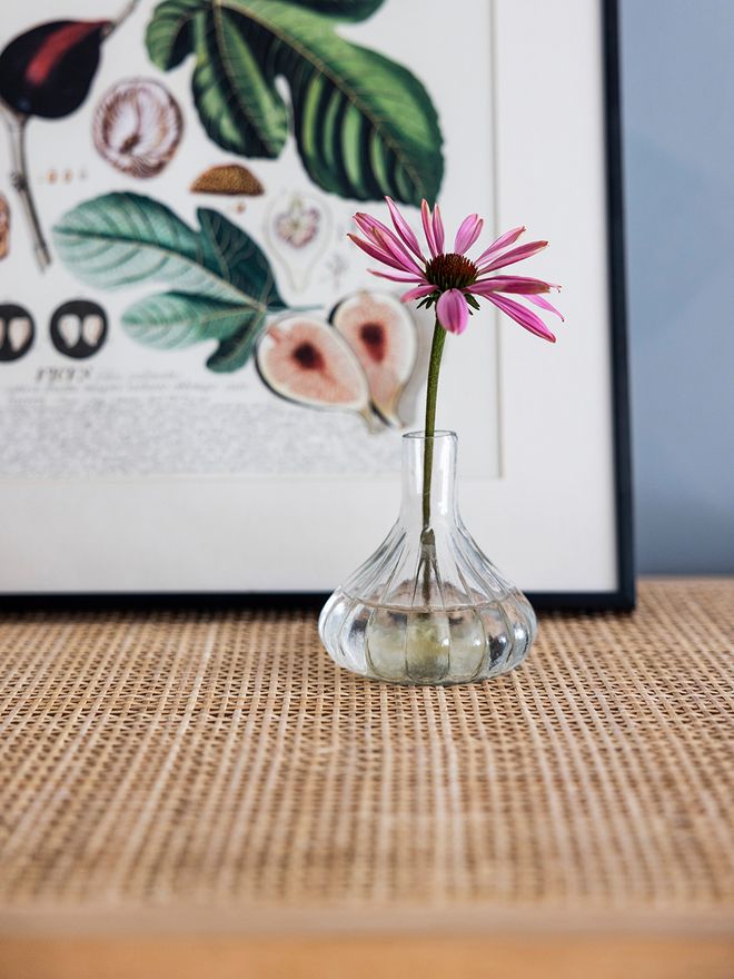 Lähikuva maljakosta, jossa yksi punainen kukka