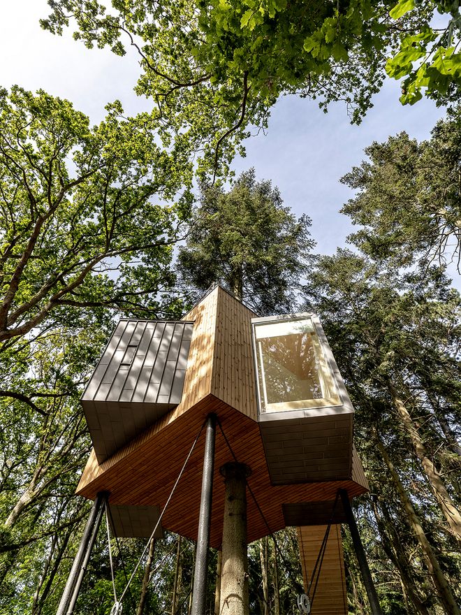 The Treetop Hotel Løvtag