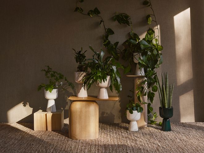 Iittala Nappula