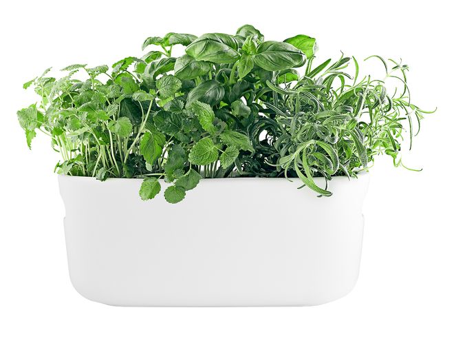 Eva Solo's self-watering herb organizer in white.