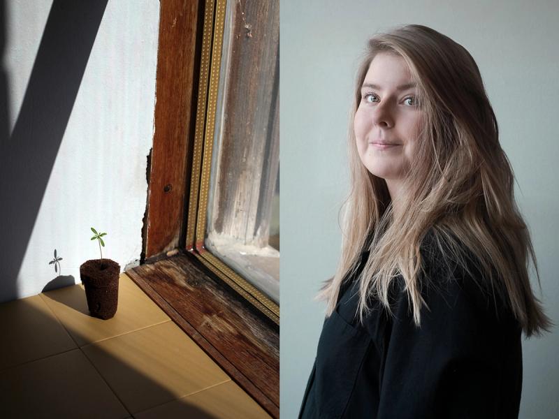Kolumni: Ajatuksia puutarhasta ja sen vierestä