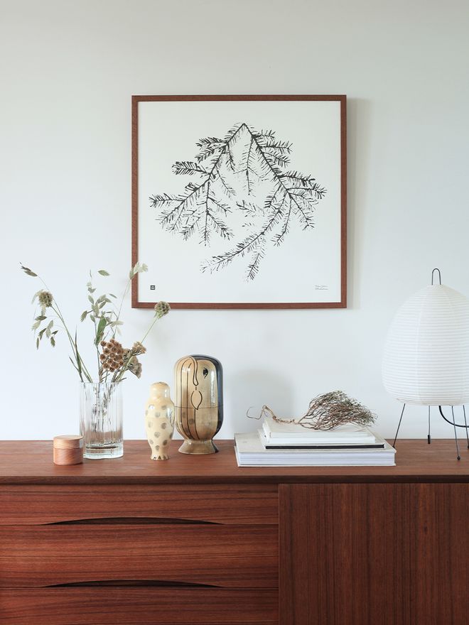 Teemu Järvi Illustrations Spruce Branch poster