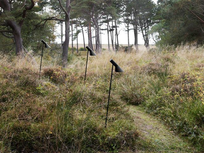 AJ bollard lights in the woods