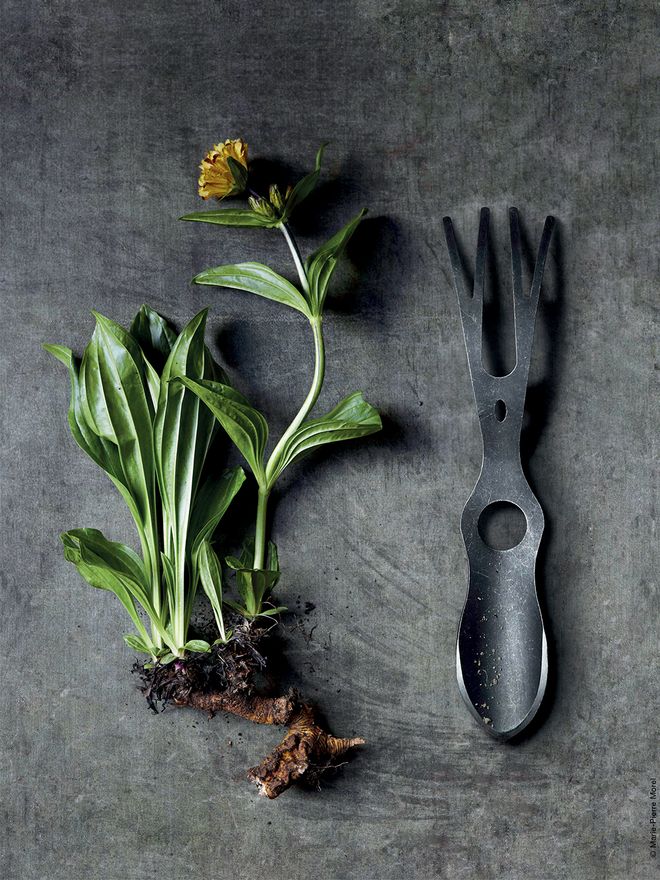Bacsac Garden Fetish Tool, Lucane
