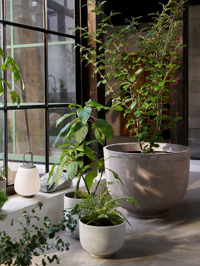 &Tradition Collect SC70 planter, sage
