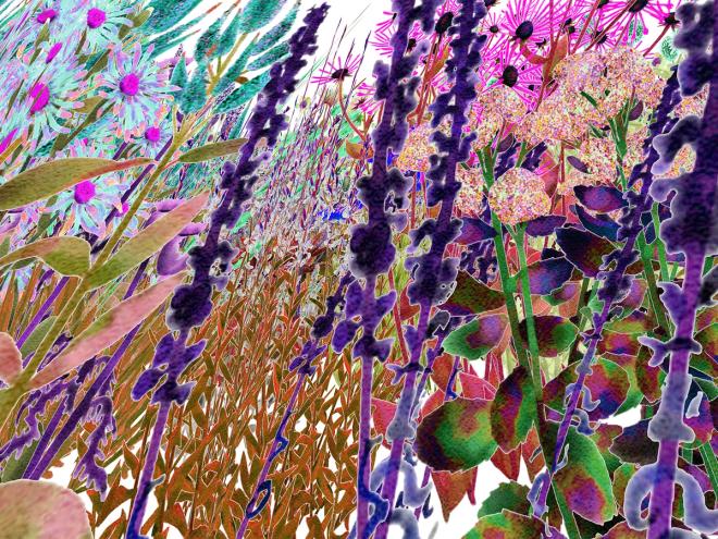 Alexandra Daisy Ginsberg: Pollinator Pathmaker