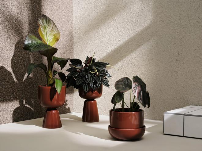 Iittala  Nappula plant pot with saucer 170 x 130 mm, brown