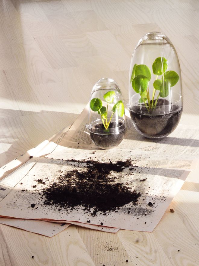 Design House Stockholm Grow mini greenhouses