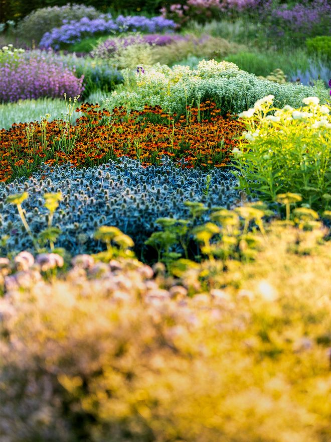 Piet Oudolf: Vitra Campus garden