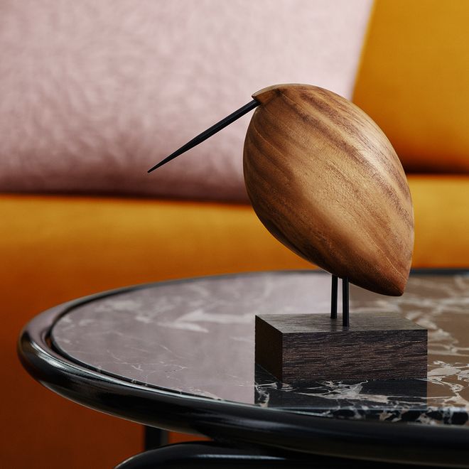 Warm Nordic's Beak Bird