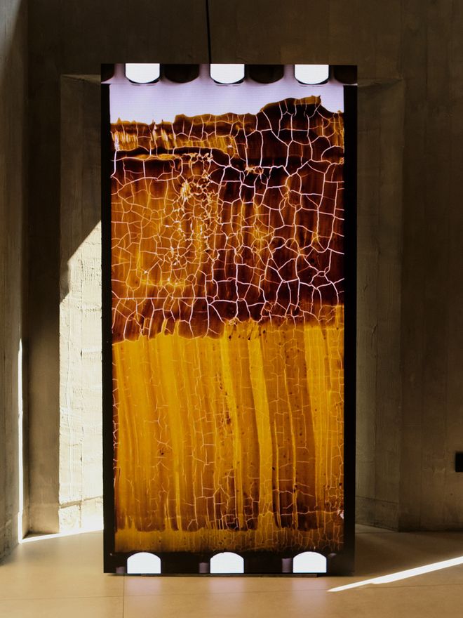 Foscarini in Milan 2025