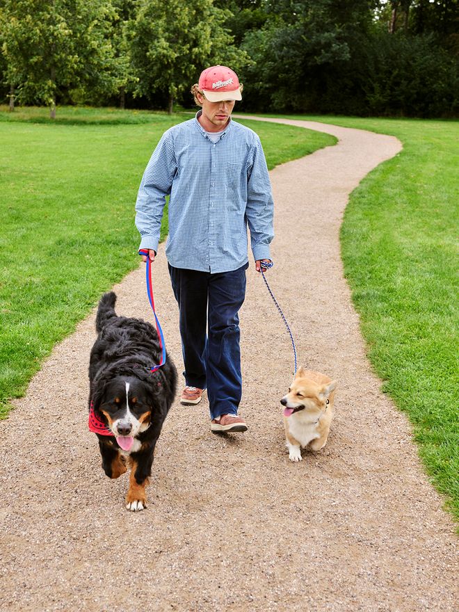 HAY Dogs leash
