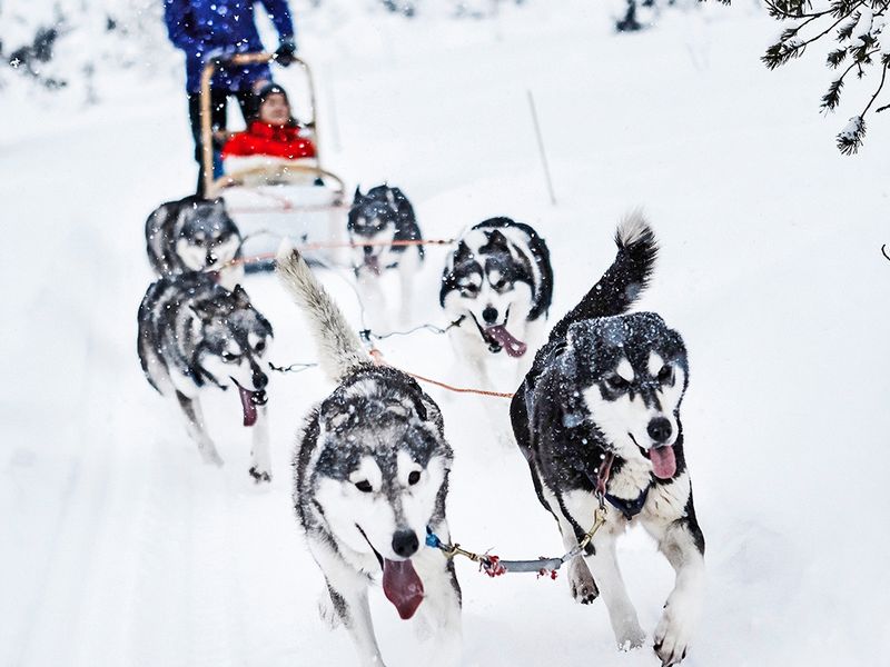Mondo’s  picks: 8 winter experiences in Finland