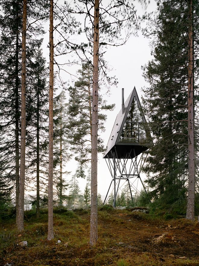 PAN Treetop Cabins