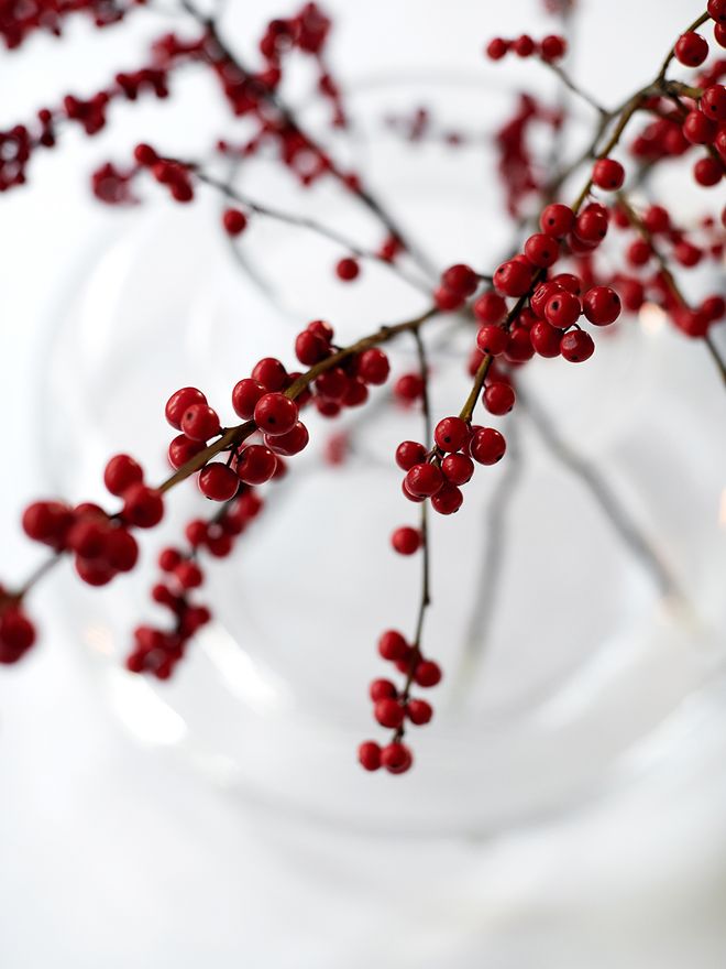 Marimekko Urna vase