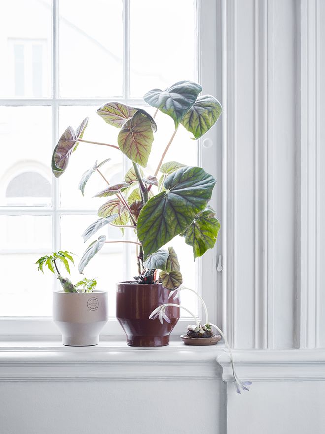 Skagerak Edge planters