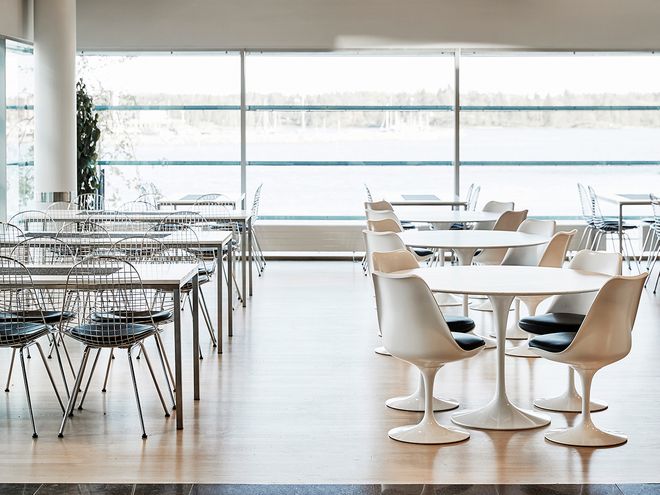 Knoll Tulip chairs