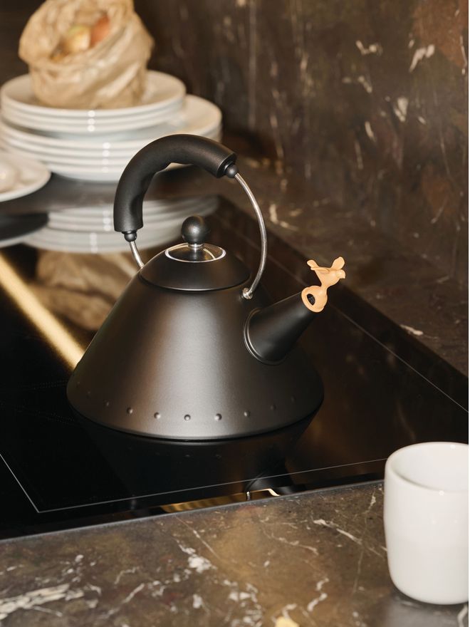 Alessi kettle 9093