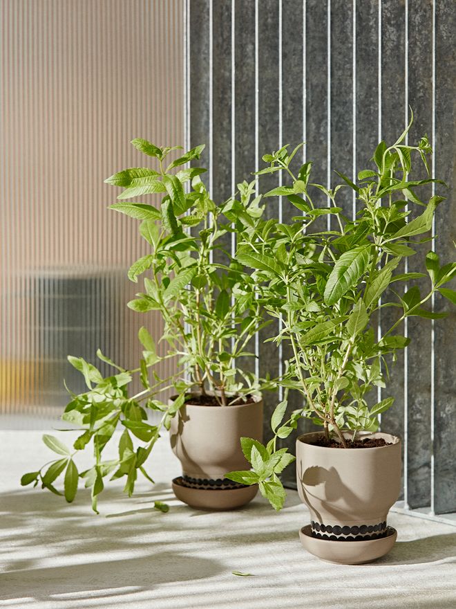 Marimekko Oiva - Räsymatto pot 9,5 cm, terra - black