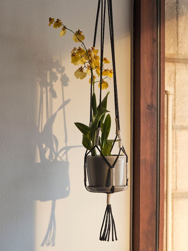 HAY Phanta plant hanger, green