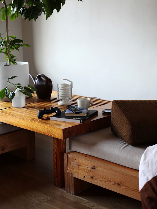 An image with a pine table and a plant