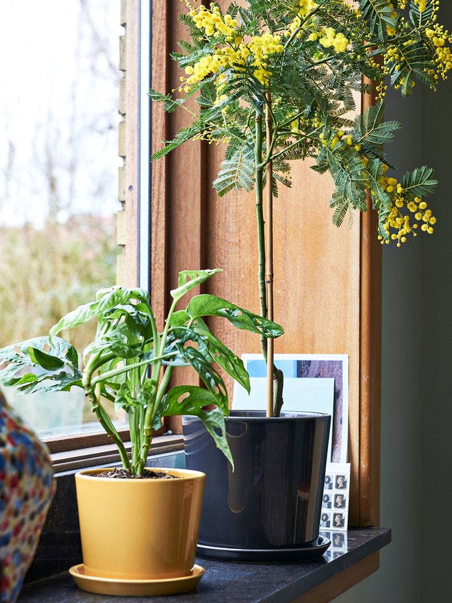 Hay Botanical Family pots