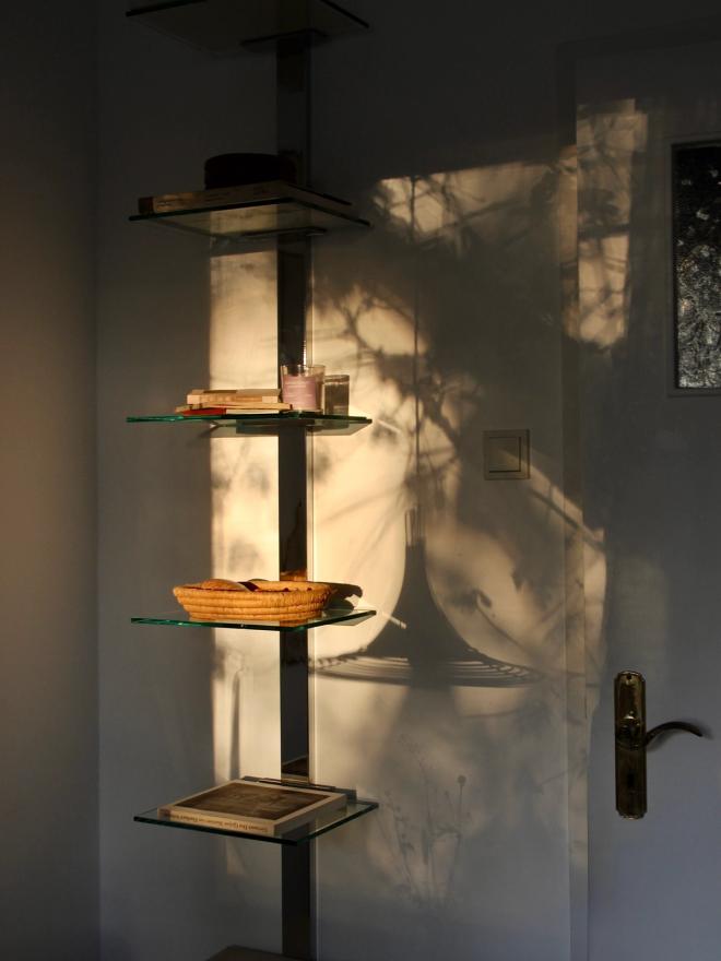 A narrow glass shelving unit with objects on its shelves and shadows of branches showing on the wall.