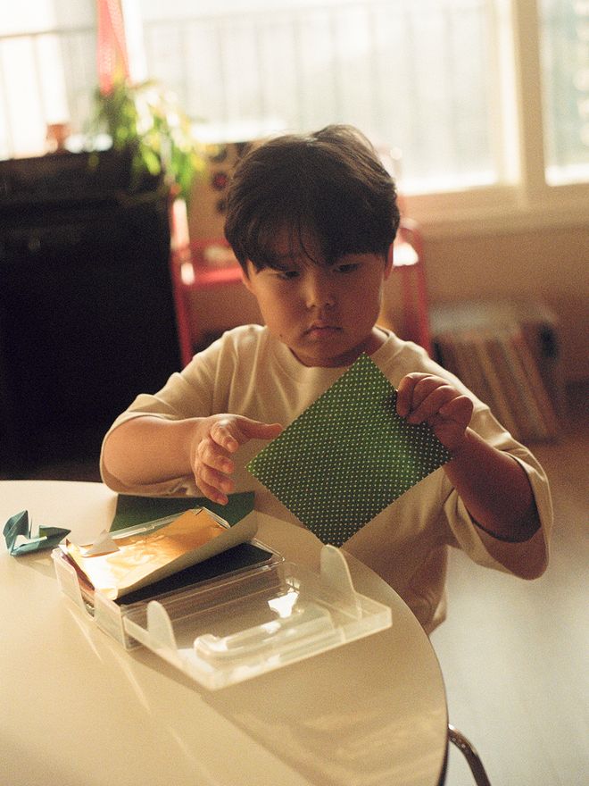 Folding origami
