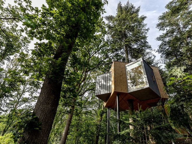 The Treetop Hotel Løvtag