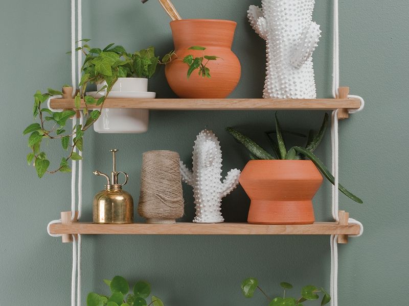 Springtime tips for caring for your green plants