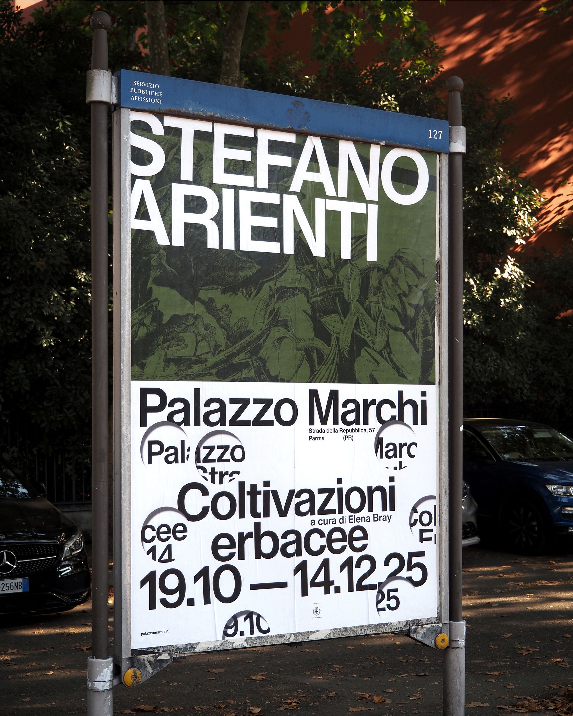Stefano Arienti