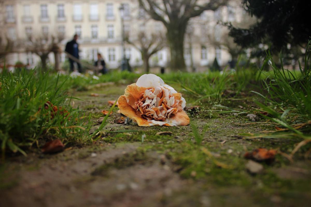 Nature 05
