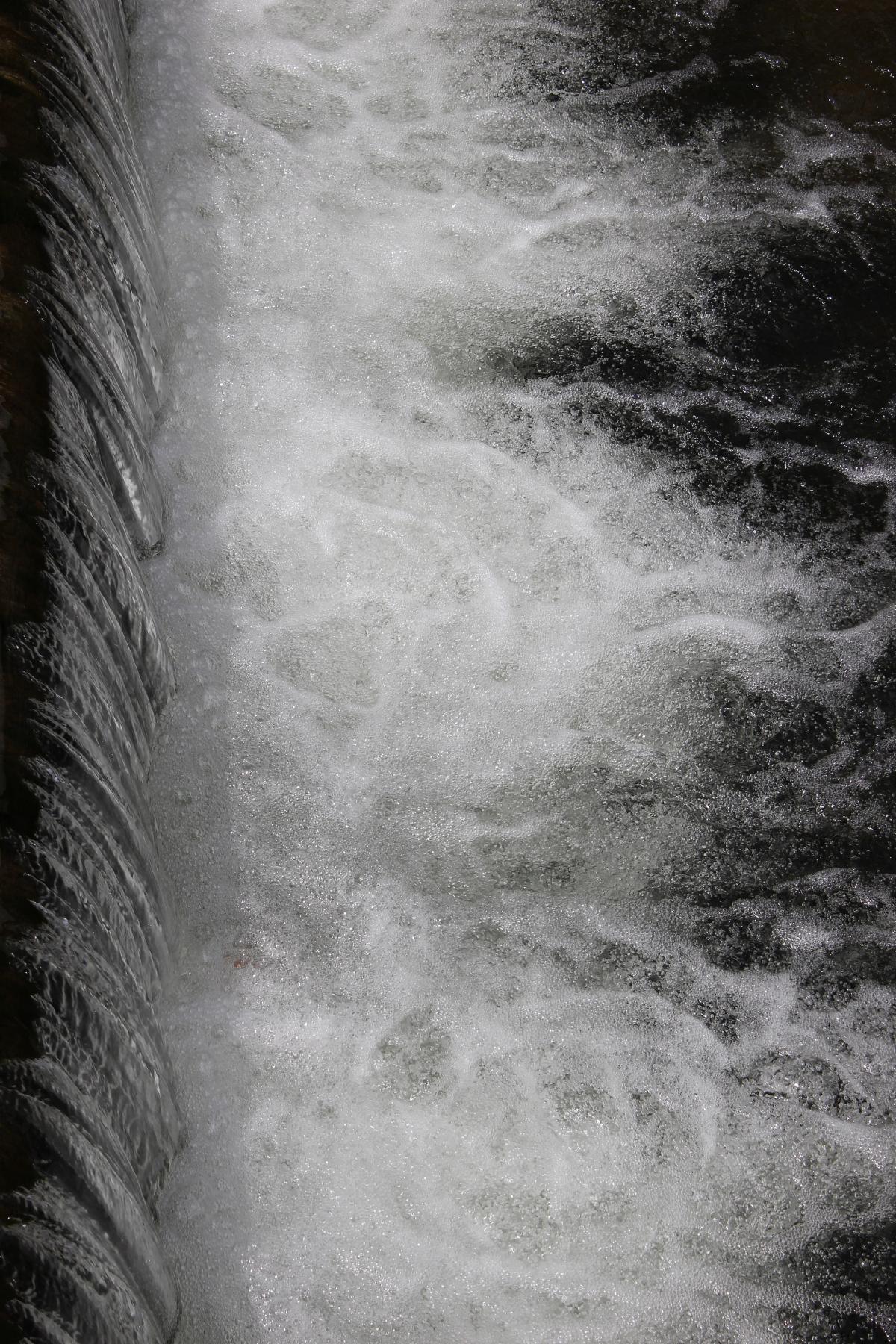 Nature 06