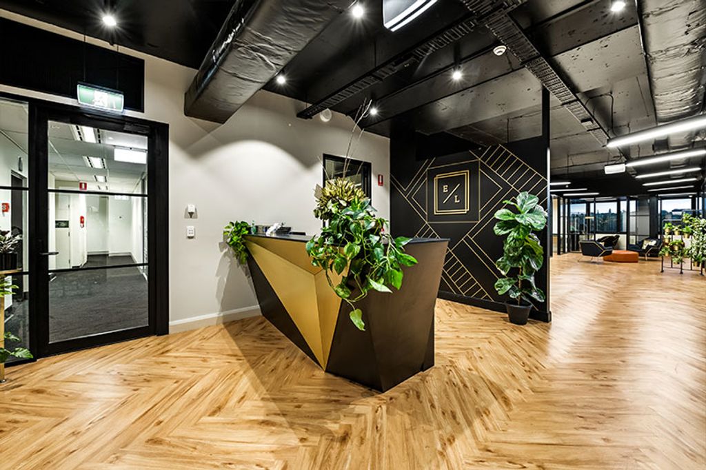 Project Enterprise Legal (front counter with ornament plants)