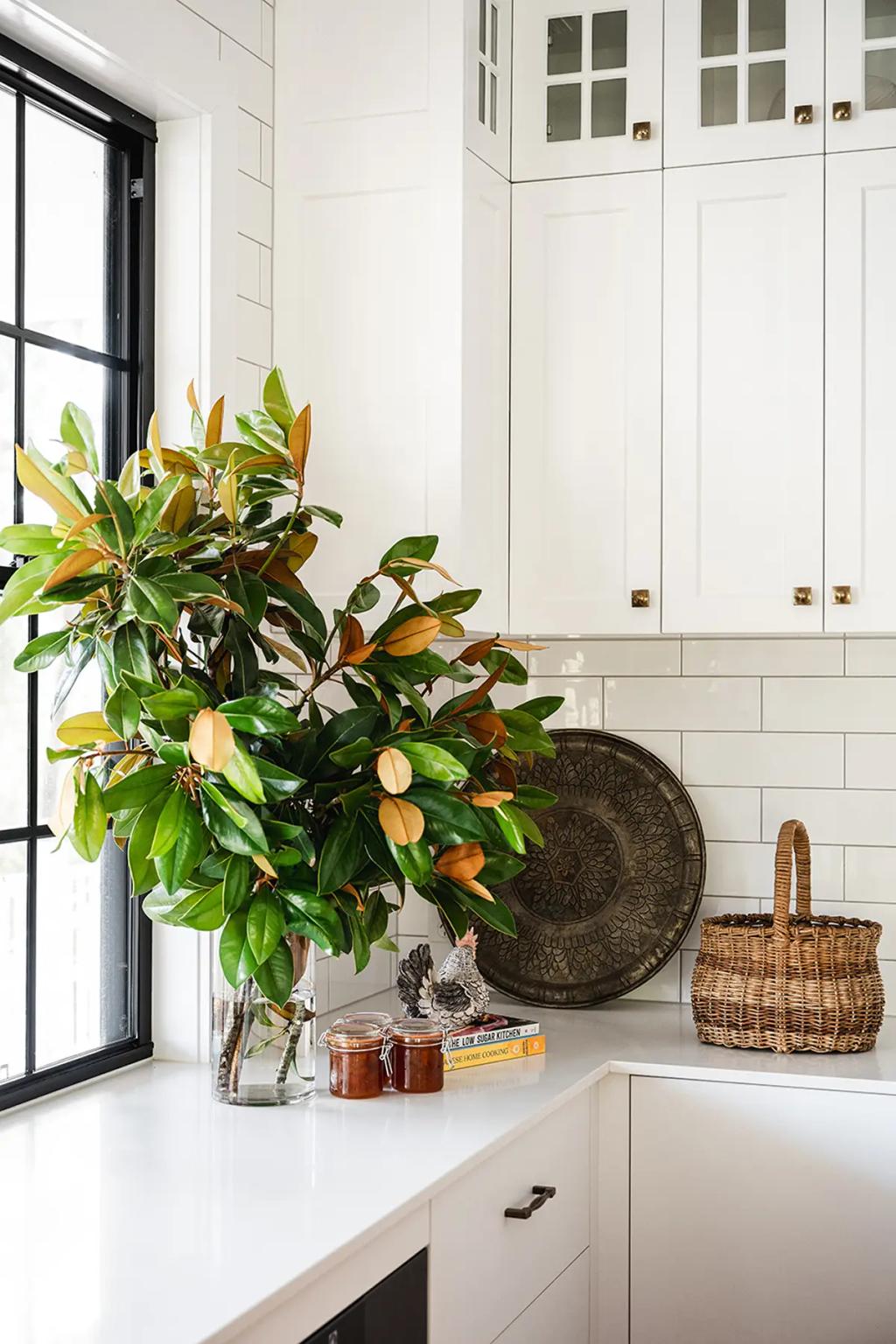 Project Coral Sea (Close-up of kitchen corner with white cabinets, large green plant, wicker basket, and decorative tray)