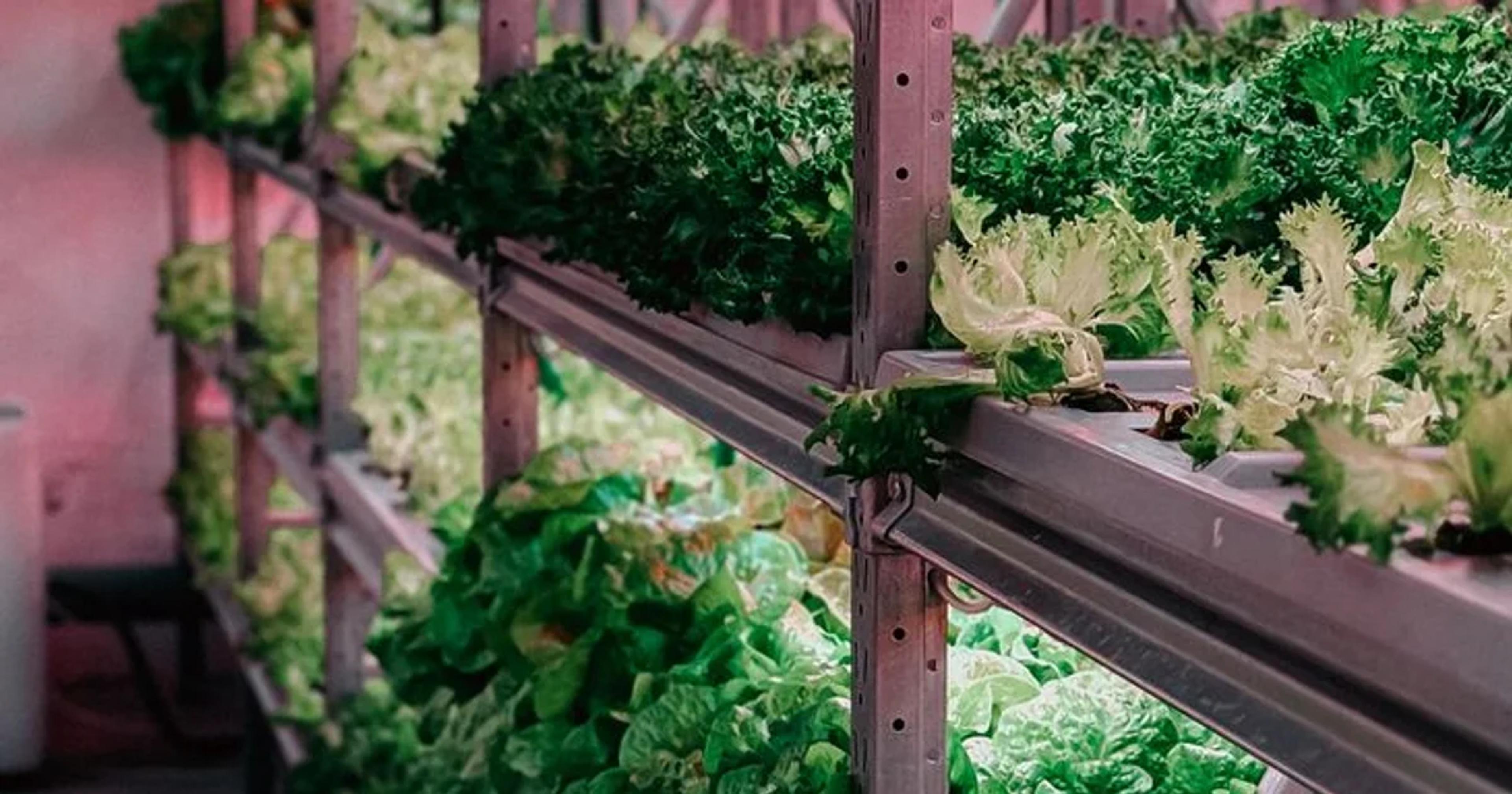 A high-tech automated facility showing silkworms monitored by advanced robotic sensors.