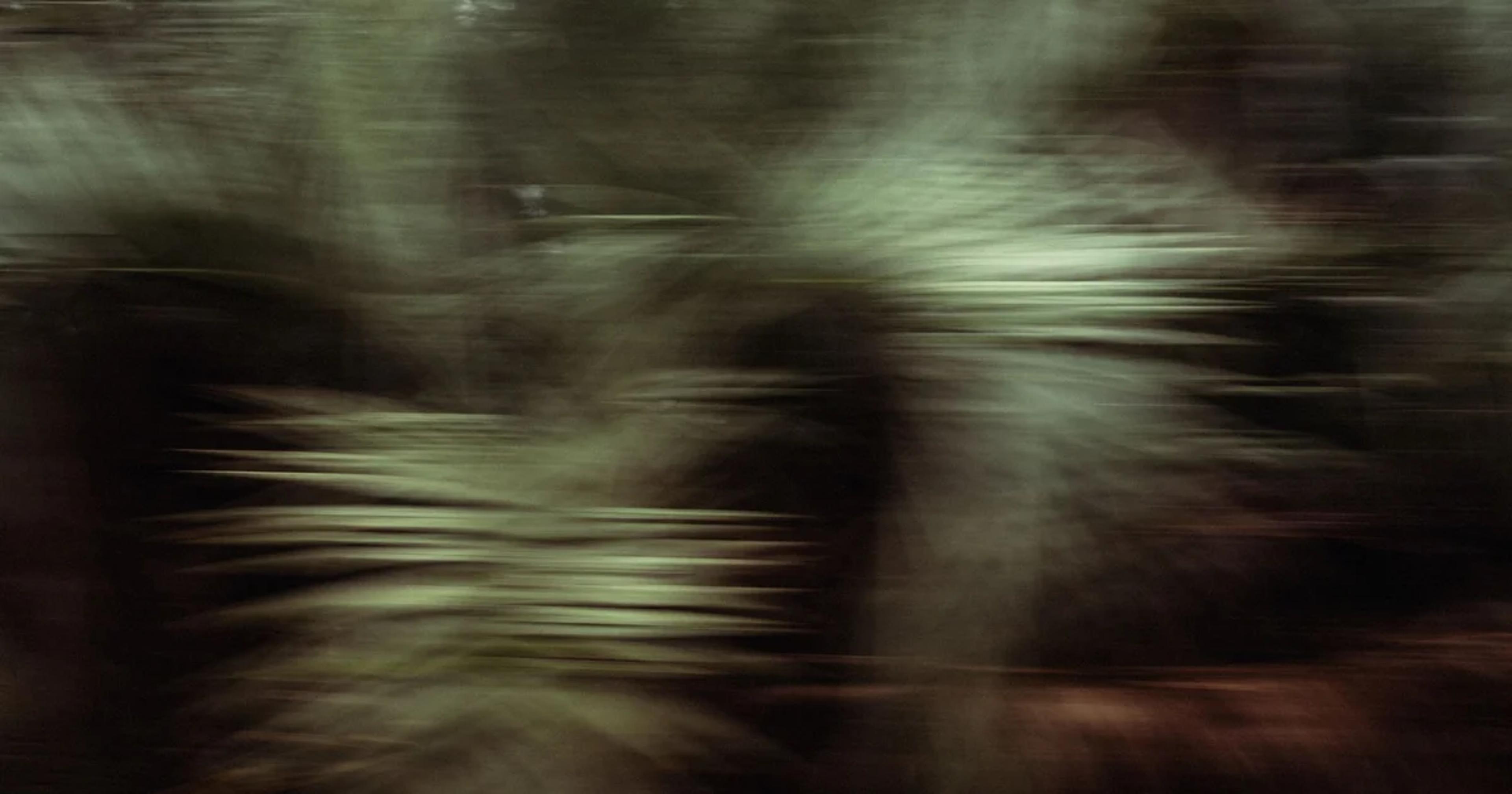 A glowing digital representation of forest soundwaves used for ecological monitoring.