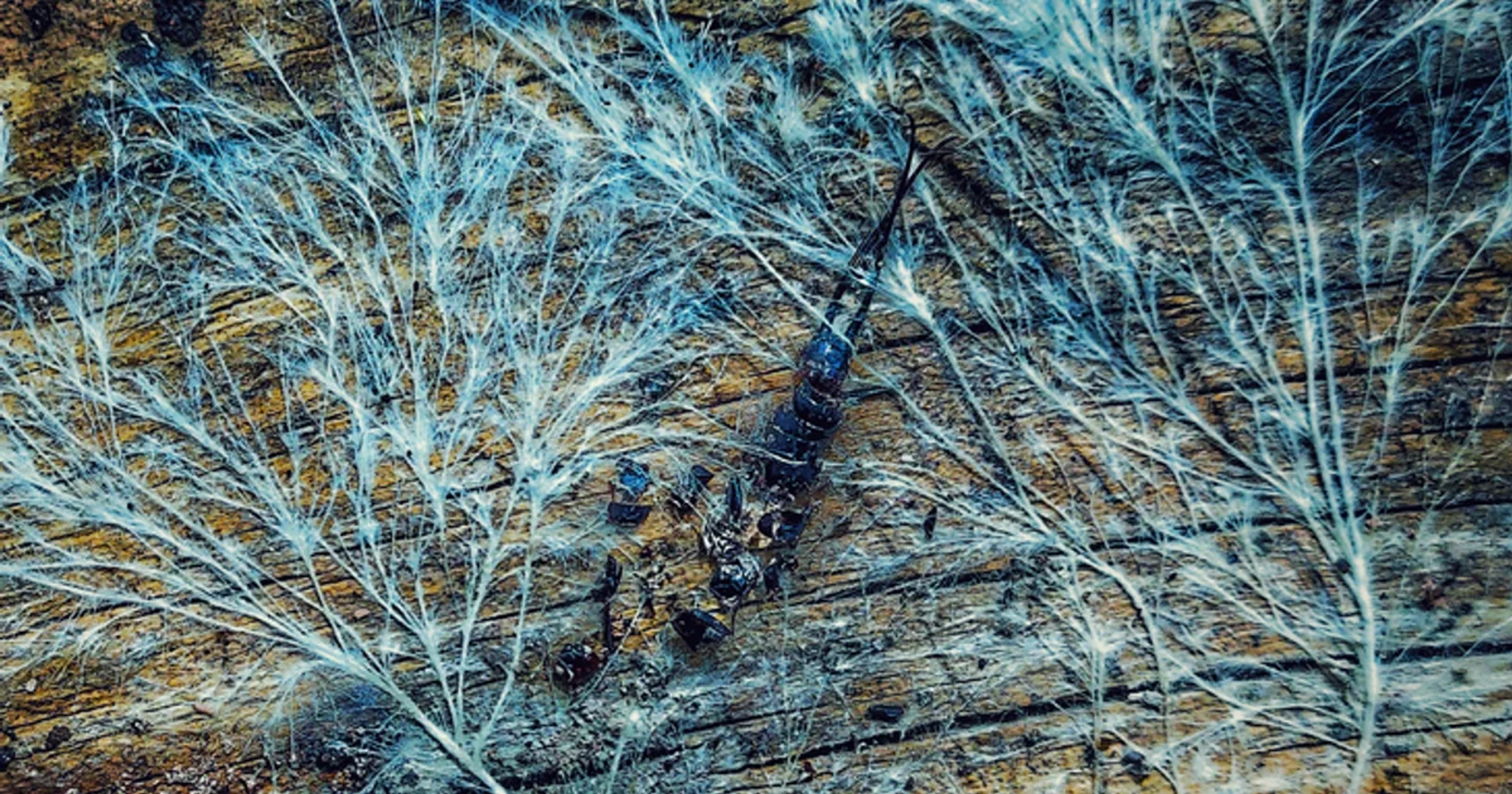 An intricate digital visualization of glowing mycelium threads acting as a biological computer network.