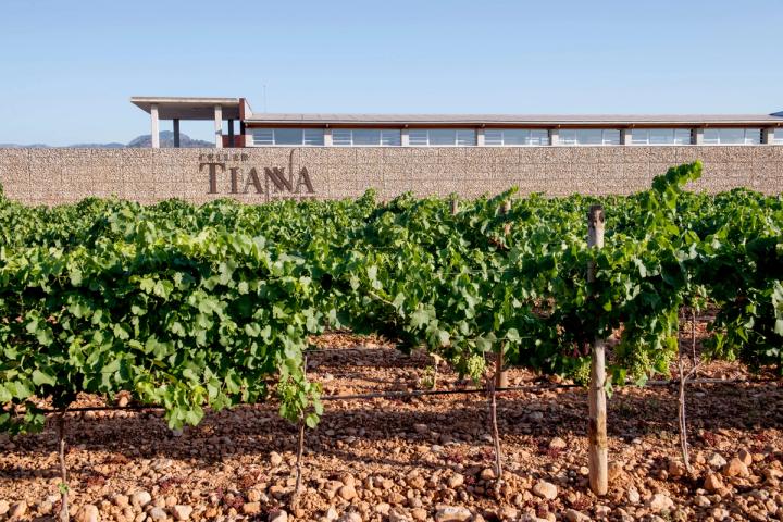 Celler Tianna Negre