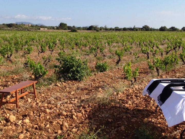 Bodega Antonio Nadal