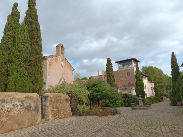 Bodega Biniagual